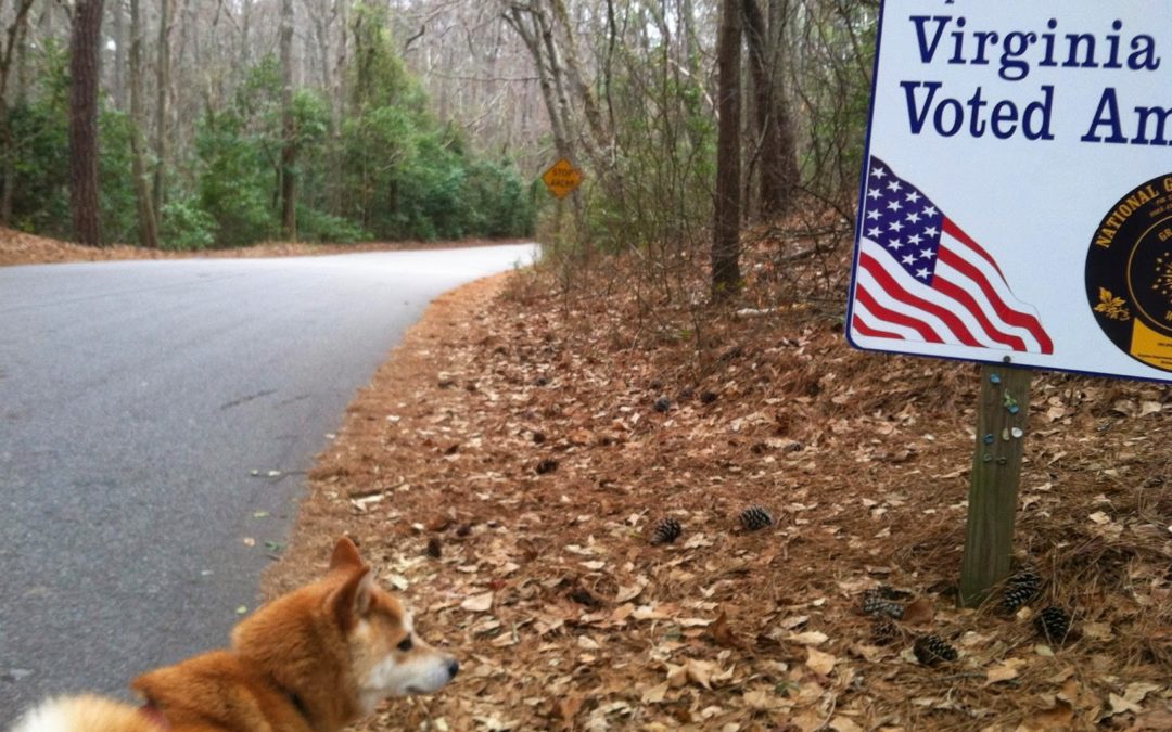 PawsGo 5,000 Steps Through First Landing State Park in Virginia Beach, VA