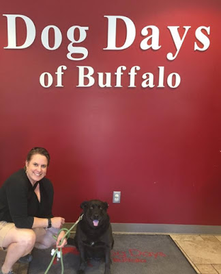 Serving Others as a Therapy Dog — What’s Involved?