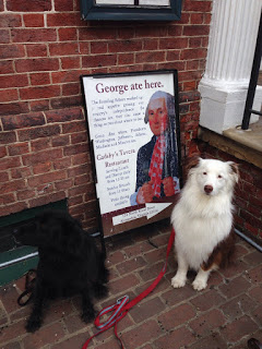 Two Girls and Two Dogs Take a Walk Through Historic Alexandria, Virginia