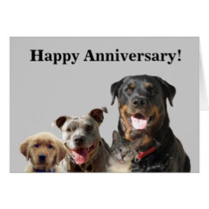 A Very Happy Anniversary Pawsgo